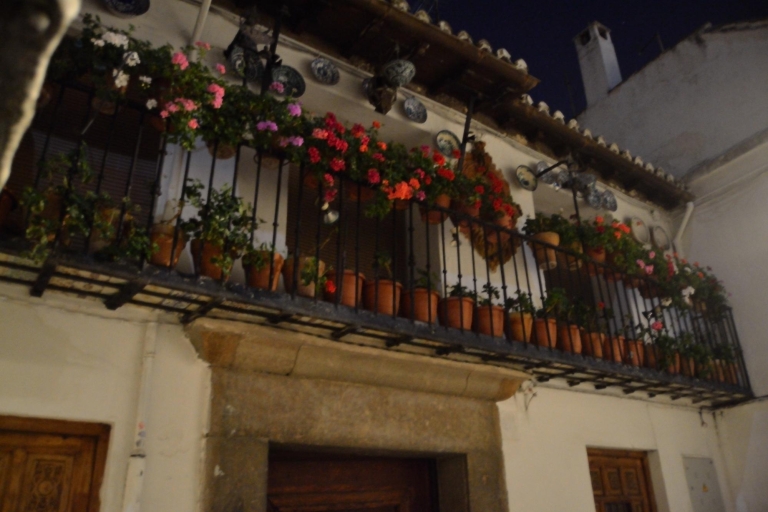 Granada: flamencoshow in de grotten van Sacromonte