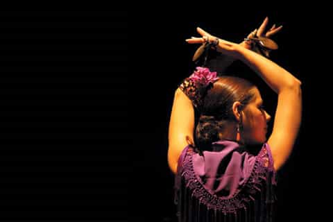 El Patio Sevillano: espectáculo flamenco tradicional +bebida