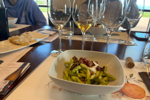 Dégustation de vins sur le versant sud de l'Etna