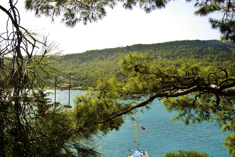 Ab Antalya: Ganztägige Phaselis-Bootstour & Mittagessen