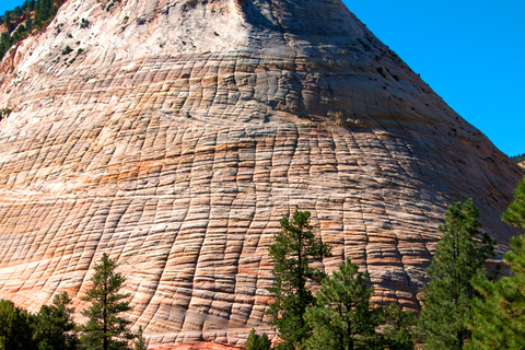 De Las Vegas: Bryce Canyon et Zion Park Combo TourVisite privée pour un groupe de 7 à 10 personnes