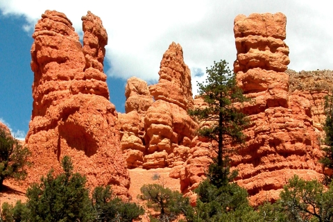 From Las Vegas: Bryce Canyon and Zion Park Combo Tour Private Tour for Group of 1-3 People