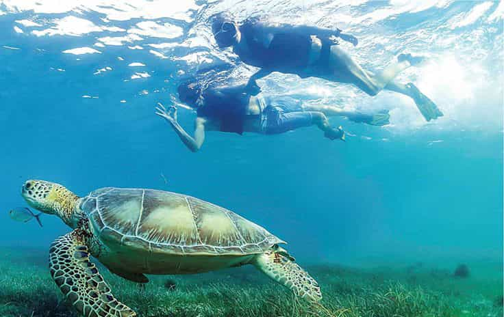 Snorkeling Experience In Cancun | GetYourGuide