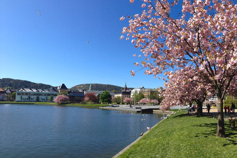 Från Bergen: Dagsutflykt med Flams järnväg och Fjordkryssning