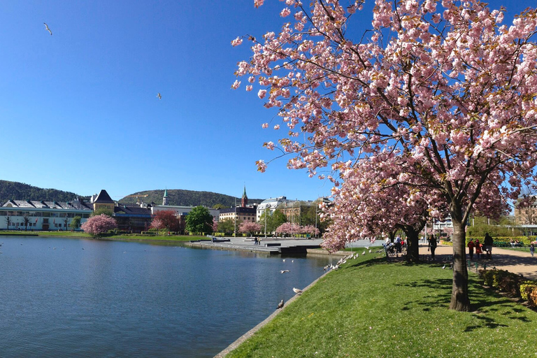 Från Bergen: Dagsutflykt med Flams järnväg och Fjordkryssning