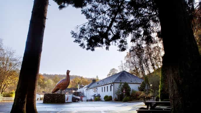 scottish highlands whisky fullday tour from edinburgh