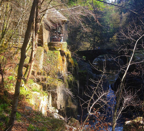 Garden & park tours