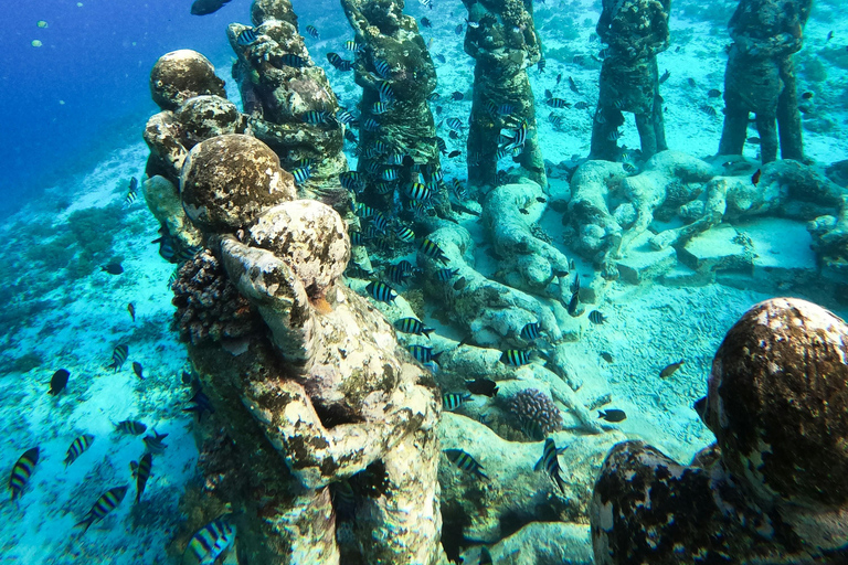 Labuan Bajo: 5-Day Komodo to Gili Trawangan Whale Shark Tour Standart Boat | Sharing Deck | No WHALE SHARK