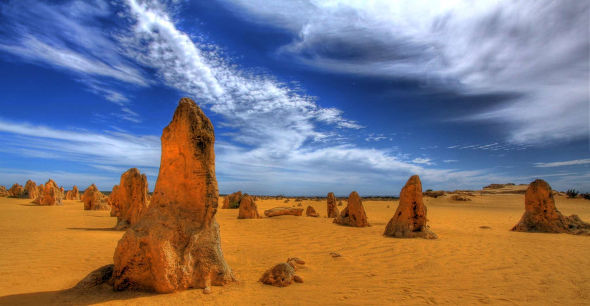 Pinnacles, Koalas & Sandboarding Tour Day Trip from Perth - Hizvo