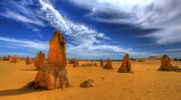 Pinnacles, Koalas & Sandboarding Tour Day Trip from Perth - Hizvo