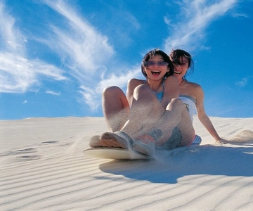 Pinnacles, Koalas & Sandboarding Tour Day Trip from Perth
