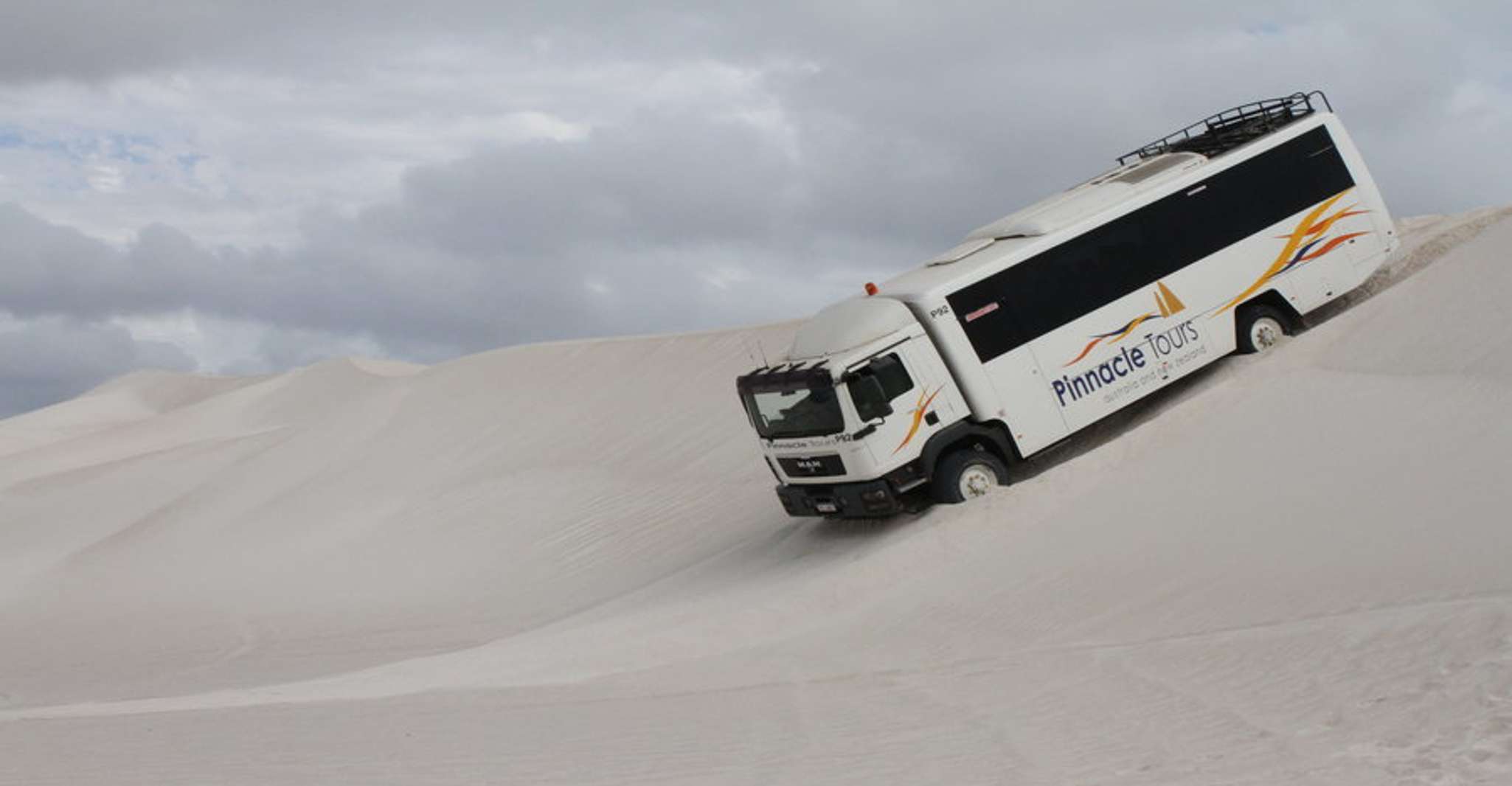 Pinnacles, Koalas & Sandboarding Tour Day Trip from Perth - Hizvo