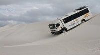 Pinnacles, Koalas & Sandboarding Tour Day Trip from Perth - Hizvo