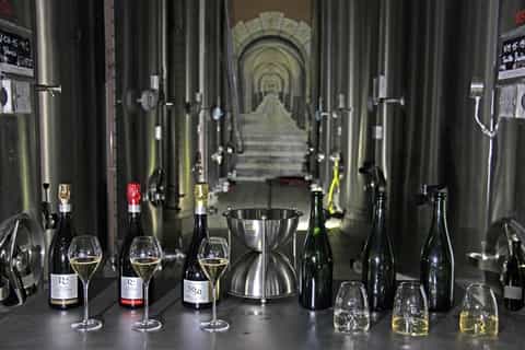 Champagne Dom Caudron Experience & Tasting