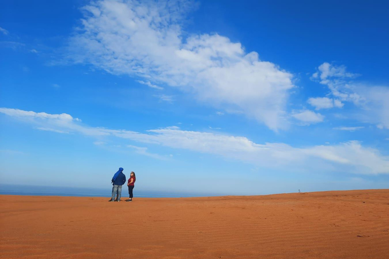 Pequeño viaje al desiertopequeño viaje al desierto