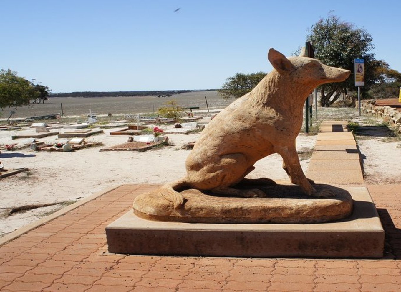 Fra Perth: Wave Rock og York Cultural Tour med en guide