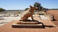 From Perth, Wave Rock and York Cultural Tour with a Guide - Housity