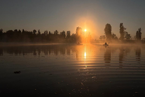 Xochimilco: Sunrise Kayaking, Breakfast and Axolotls Xochimilco: Sunrise Kayaking, Breakfast, and Axolotls