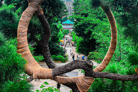 Tokio A: Tour de la ciudad en Español - Spanish Tokyo A: Private Tour