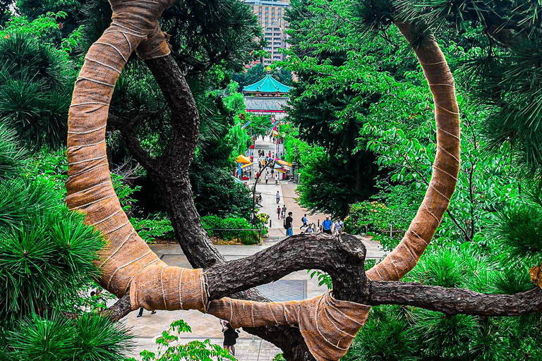 Tokio A: Tour de la ciudad en Español - Spanish Tokyo A: Private Tour