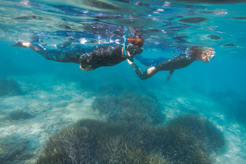 Marseille: Snorkeling Excursion to the Frioul Islands