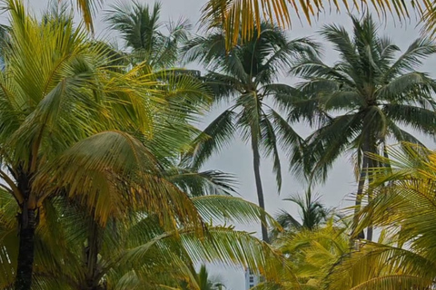 San José: All-Inclusive Beach Resort Day Trip