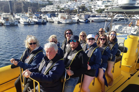 Lanzarote: Dolphin Watching by speedboat Sunset with dolphins off the coast of Lanzarote