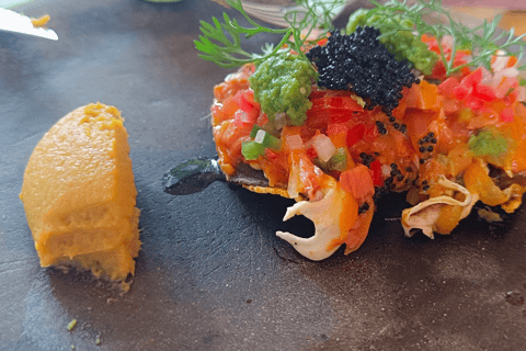 من مدينة أواكساكا: تجربة الغوص الحر في بويرتو إسكونديدو