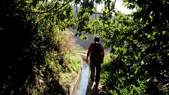 madeira 2hour levada do norte tour
