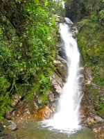 Jardin Coffee Lovers Private Tour - Housity