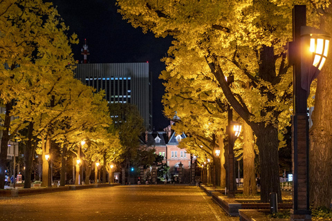 Sapporo: Illuminated Landmarks and TV Tower Night View Tour