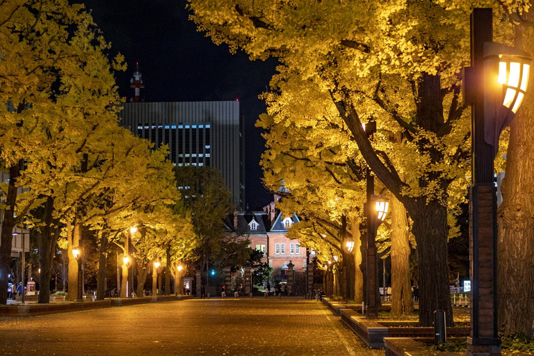 Sapporo: Illuminated Landmarks and TV Tower Night View Tour