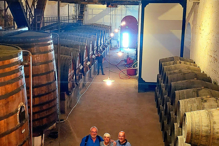 Douro Valley: Private Wine Tour with Lunch