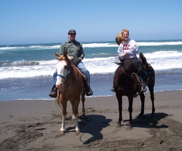 *Afro-Mex Village Horse Ride, Turtle Release Crocodile Farm