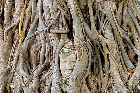 Bangkok: Ayutthaya Private Driver & Thai Host Day Trip