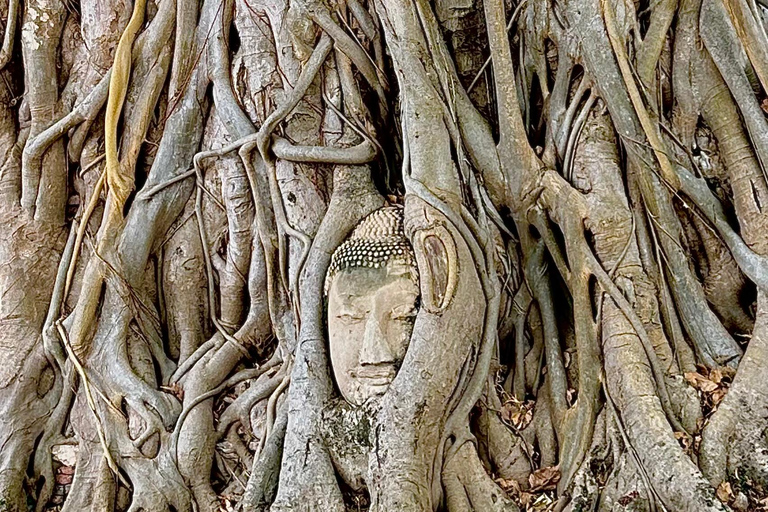 Bangkok: Ayutthaya Private Driver & Thai Host Day Trip