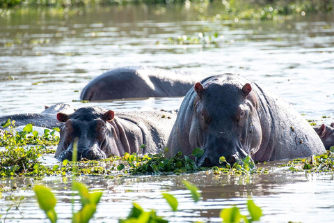 Explorez le safari de 2 jours dans le cratère du Ngorongoro