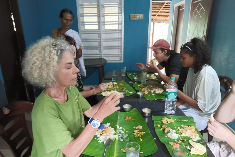 Cochin: excursión de día completo por los remansos con almuerzo y té por la tarde.Cochin: Excursión de día completo por los remansos con almuerzo y té por la tarde