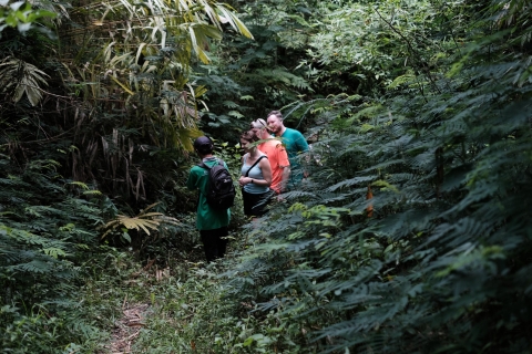 La Majestad del Monte Merapi: Senderismo Suave y Excursión a la Aldea Botánica