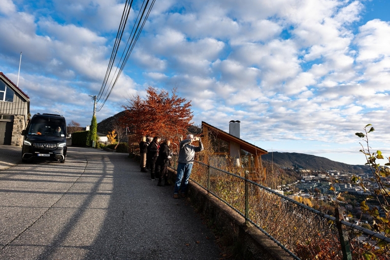 Bergen: minibustour langs de mooiste plekjes van de stad