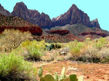 Aus Las Vegas: VIP-Abenteuer im Kleingruppen-Zion-Nationalpark Aus Las Vegas: VIP-Abenteuer im Kleingruppen-Zion-Nationalpark