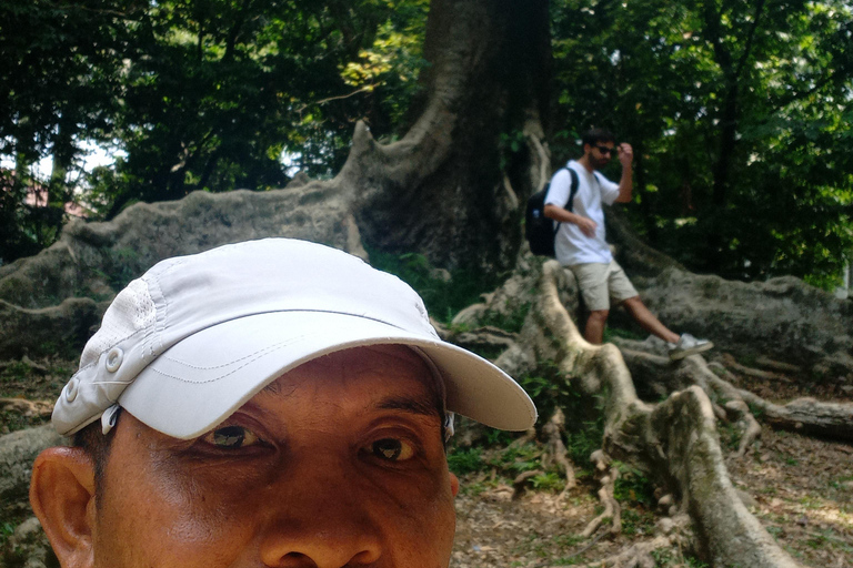Bogor Botanical Garden and Domas Megalithic Site Tour