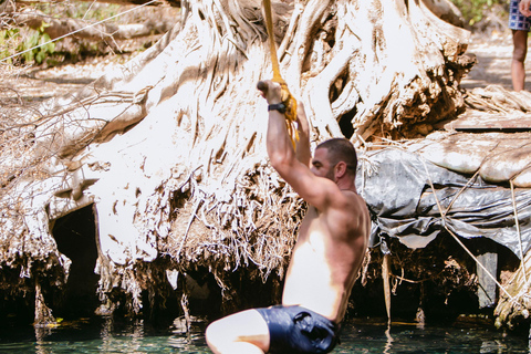 A Day Trip To Kikuletwa Hot Springs