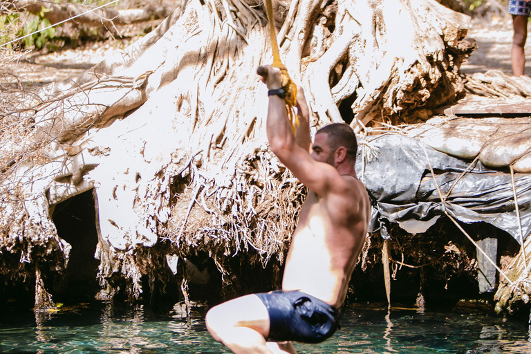 A Day Trip To Kikuletwa Hot Springs