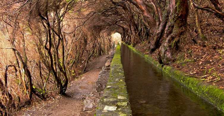 Madeira: daguitstap voor levadawandeling in de Rabaçalvallei