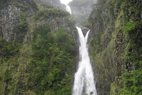 Madeira Day Trip: Levada Walk in the Rabaçal Valley