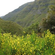 Madeira: cammino di Levada nella Valle di Rabaçal