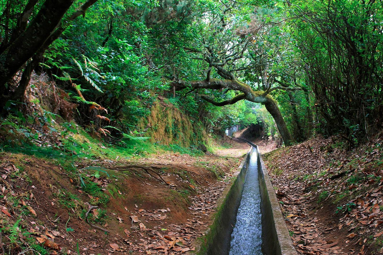 Ribeiro Frio / Portela - Levada promenadMadeira: levadapromenad till Ribeiro Frio/Portela