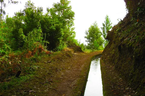 Maroços / Valle de la Mimosa - Paseo de Levada