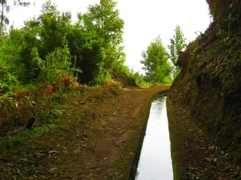 Maroços / Mimosa Valley - Levada Walk